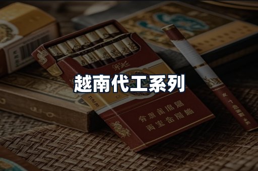 越南代工系列